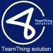 TeamThing solution